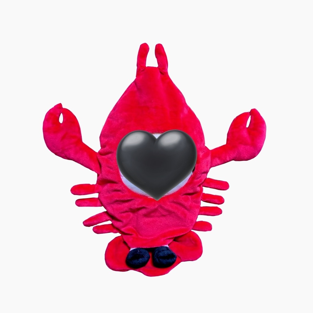 ザリガニの着ぐるみBIG