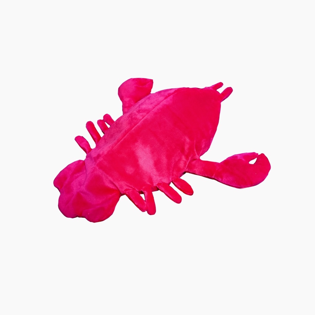 ザリガニの着ぐるみBIG