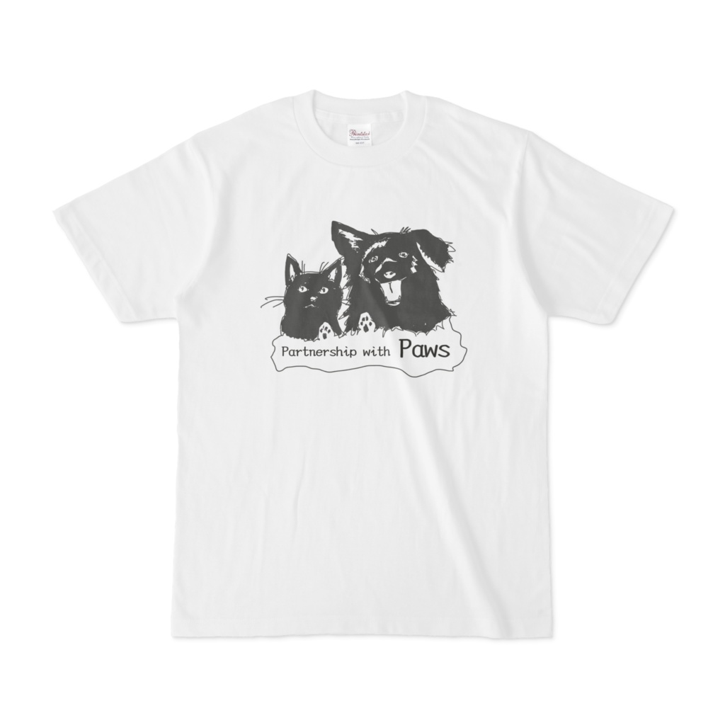 PAWS-T