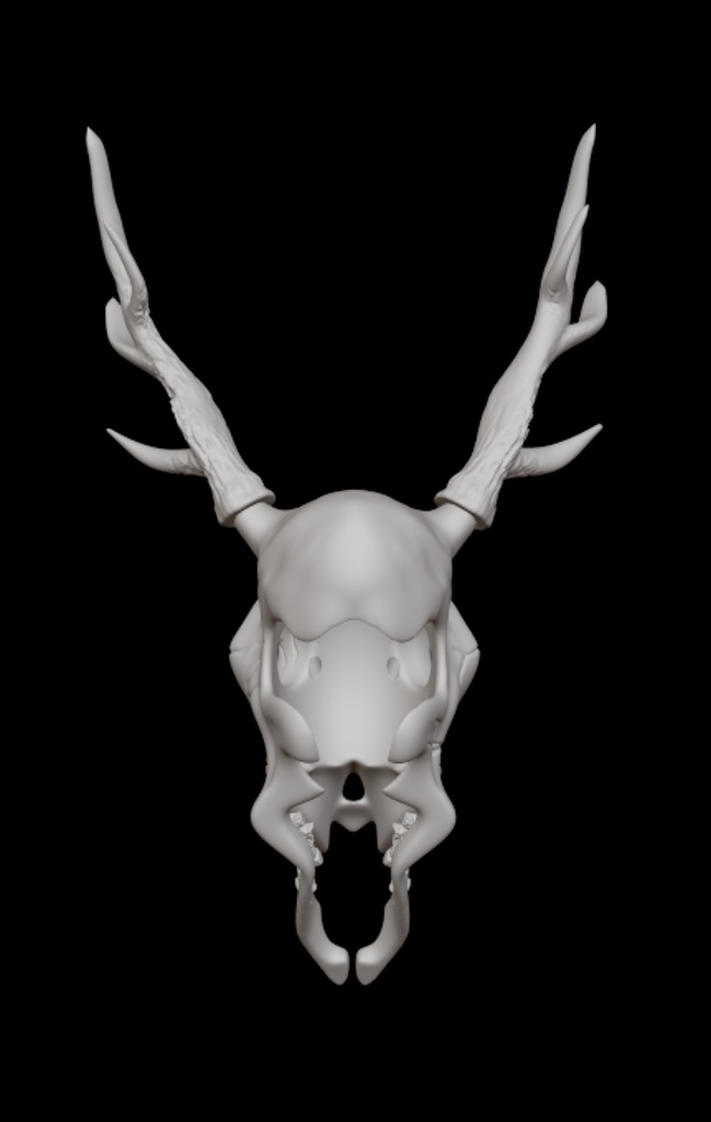 オリジナル骸骨(鹿っぽいリアル)