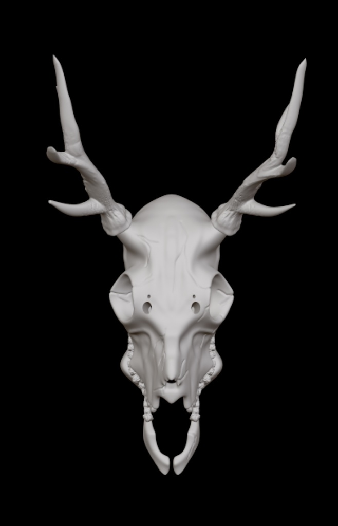 オリジナル骸骨(鹿っぽいリアル)