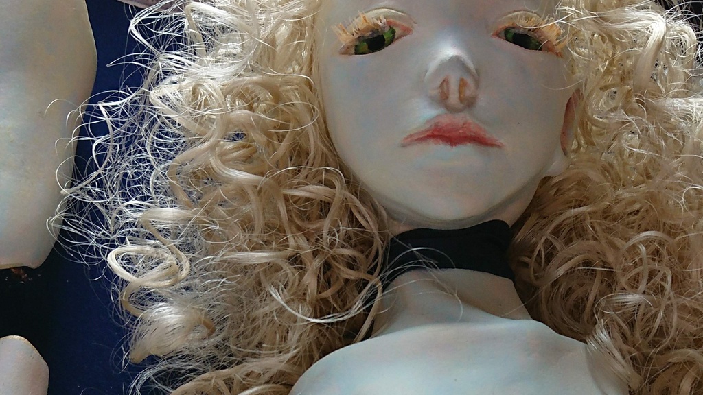 立体作品「ひとがたの標本」