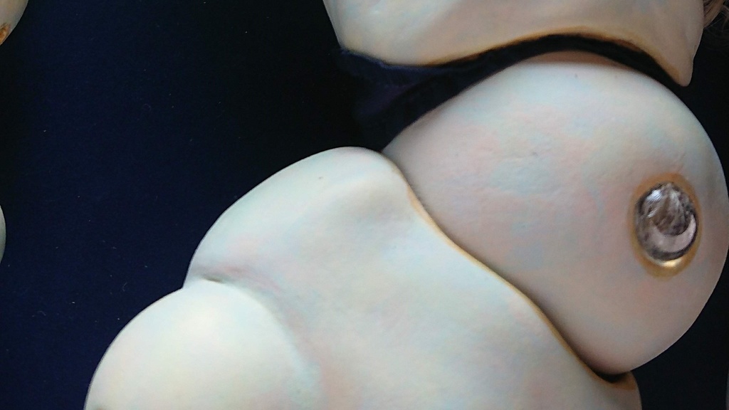 立体作品「ひとがたの標本」