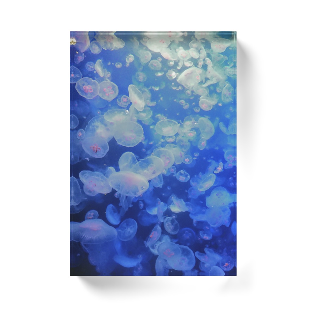 海月空間 ーミズクラゲー