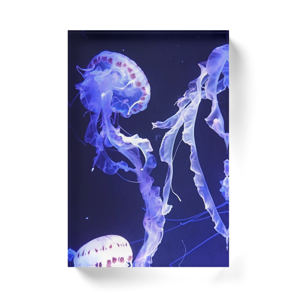 海月空間 ーラッセルー