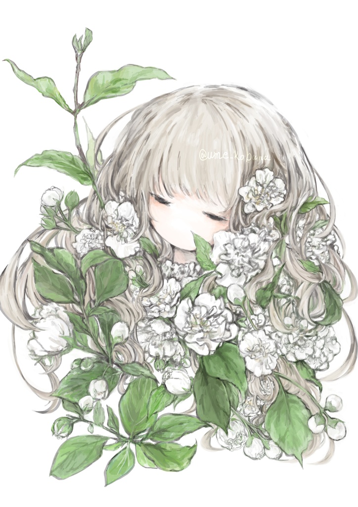 ポストカード .a