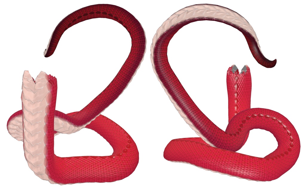 「メデューサパーツ 胴/髪 +石化ギミック」 VRChat対応衣装3Dモデル