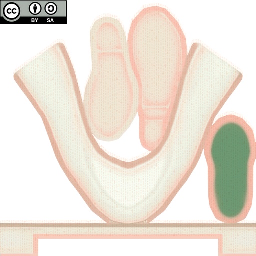 【VRoid/無料】スエードパンプス