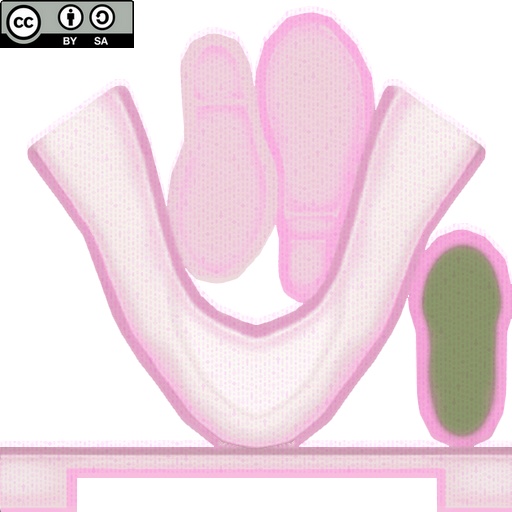 【VRoid/無料】スエードパンプス