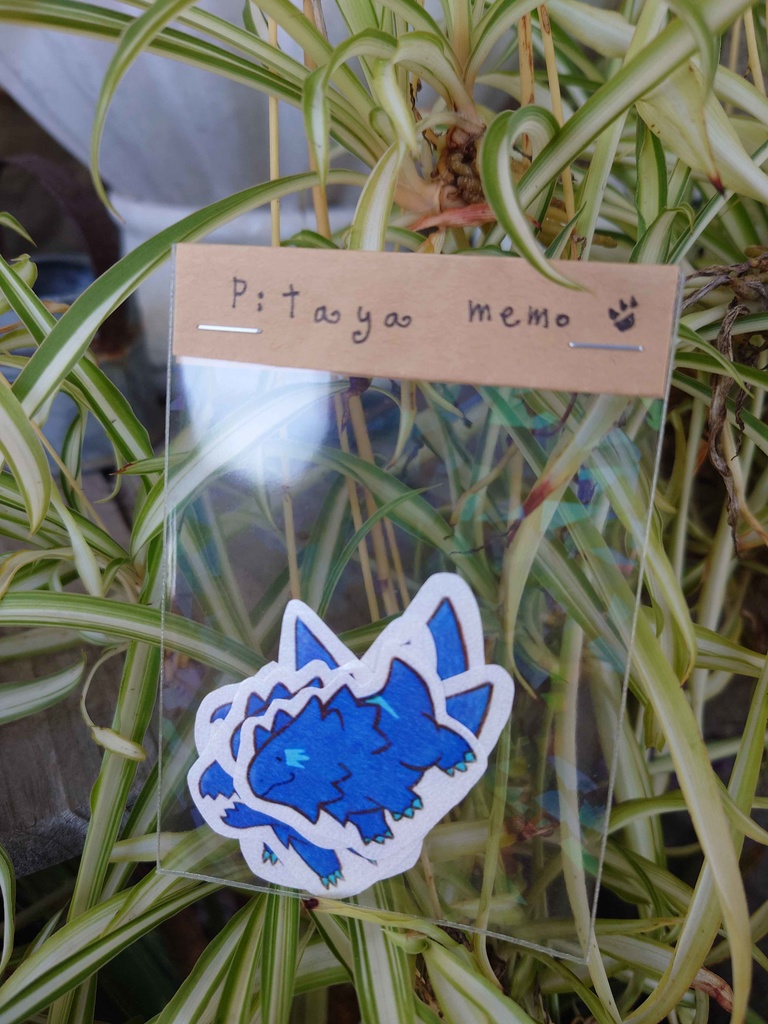 ピタメモ＝ブルーピタヤ＝