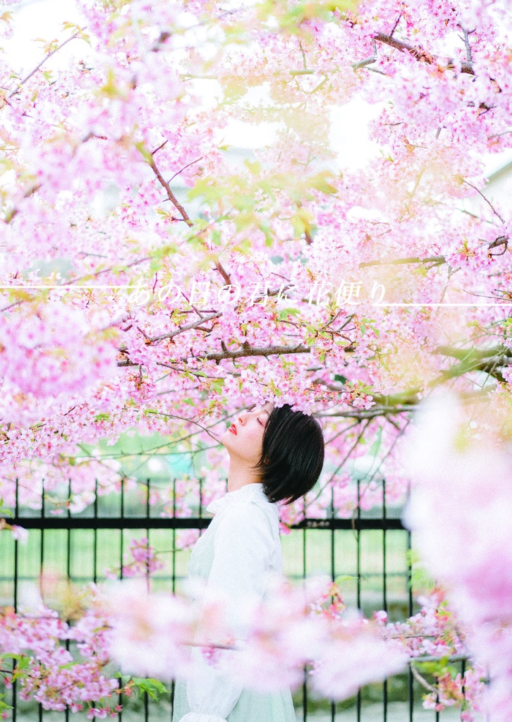 あの日の君に花便り(水無月いとの写真詩集)