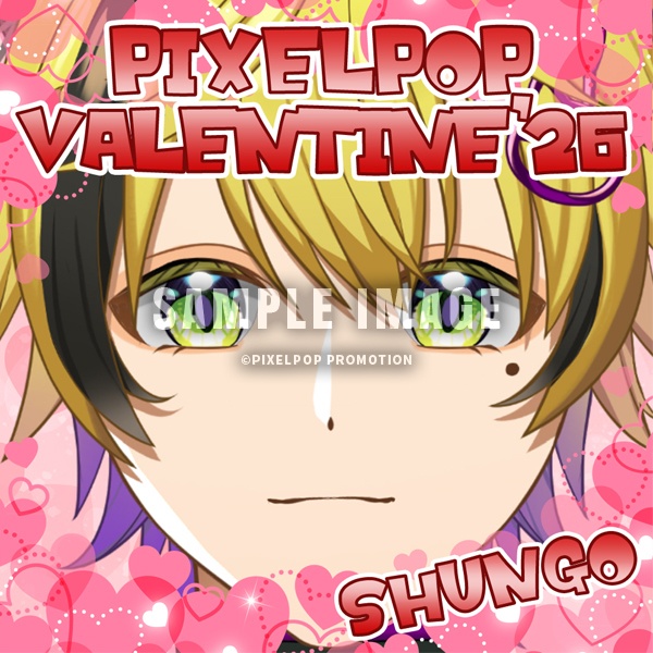 ピクポのバレンタイン大作戦!!!!!!2026 オリジナルチョコセットB