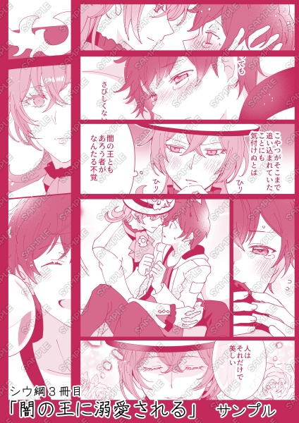 闇の王に溺愛される