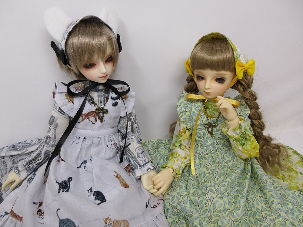 猫と本棚のドレスセット