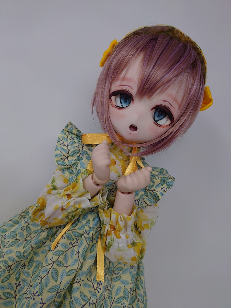 ミモザと葉っぱのドレスセット