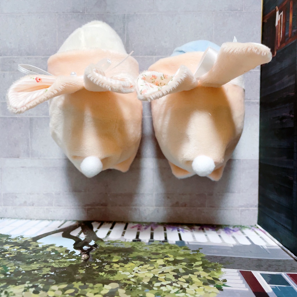 もちマス用着ぐるみ(ペールオレンジ)