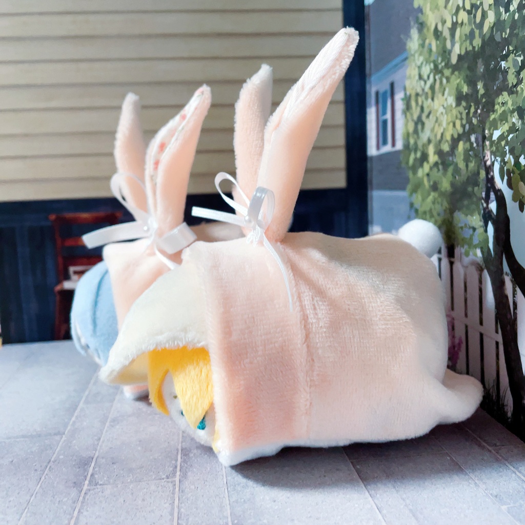 もちマス用着ぐるみ(ペールオレンジ)