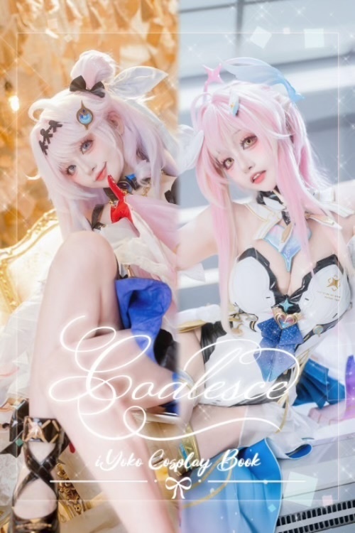 【C108新刊】鳴潮 エイメス&ダーニャ 『Coalesce』