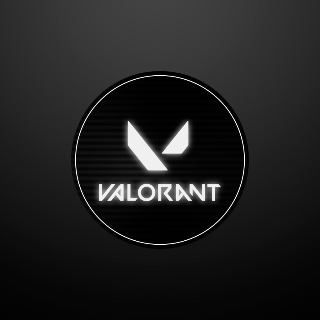 VALORANT ミニマップ隠し用 オーバーレイ【6カラー】