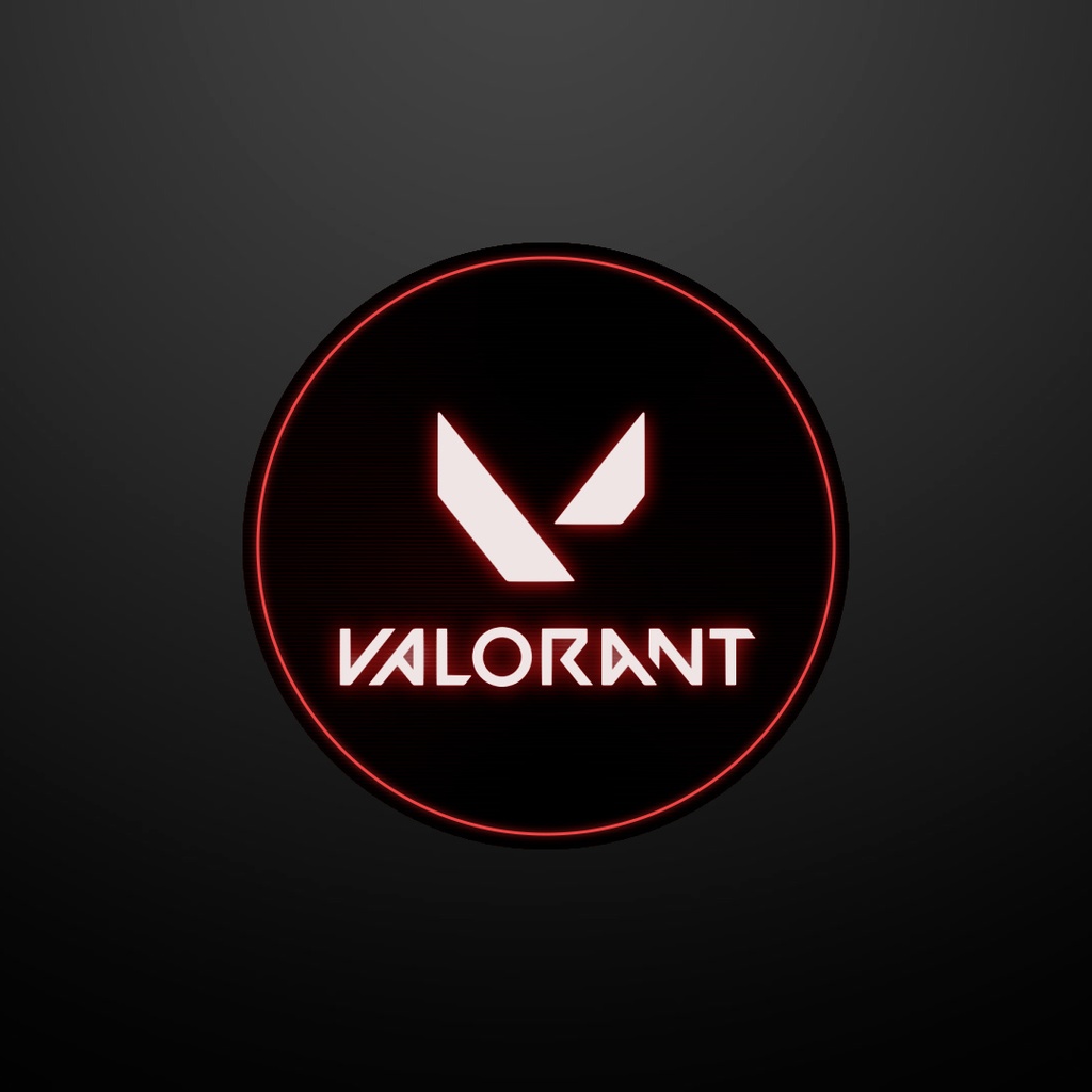 VALORANT ミニマップ隠し用 オーバーレイ【6カラー】