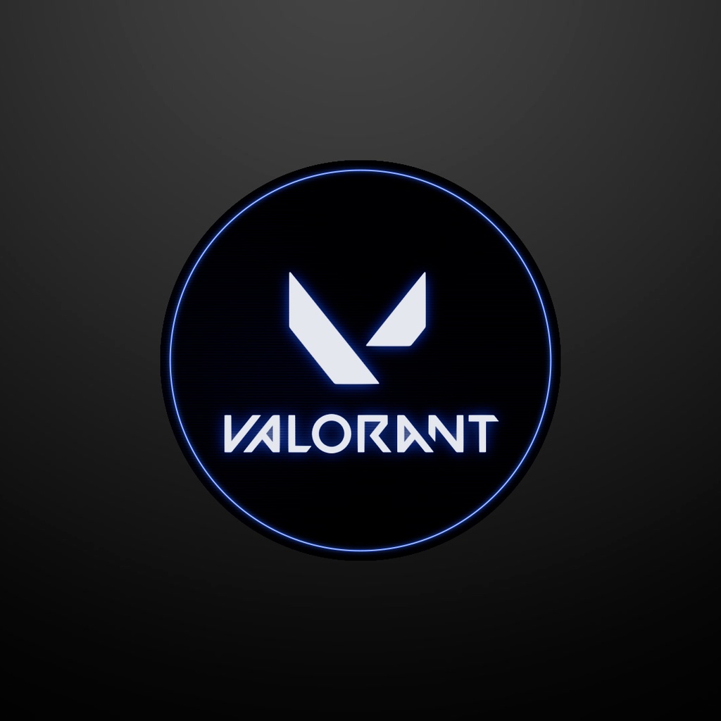 VALORANT ミニマップ隠し用 オーバーレイ【6カラー】