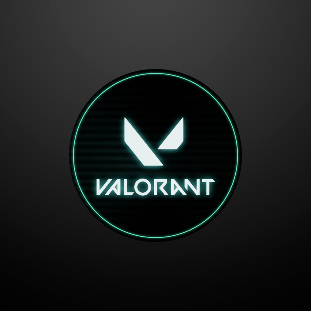 VALORANT ミニマップ隠し用 オーバーレイ【6カラー】