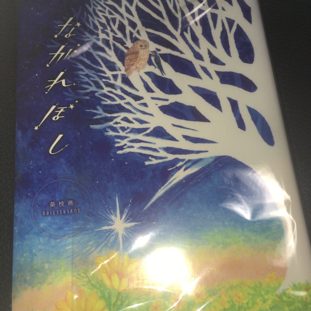 短編集『ながれぼし(初版)』