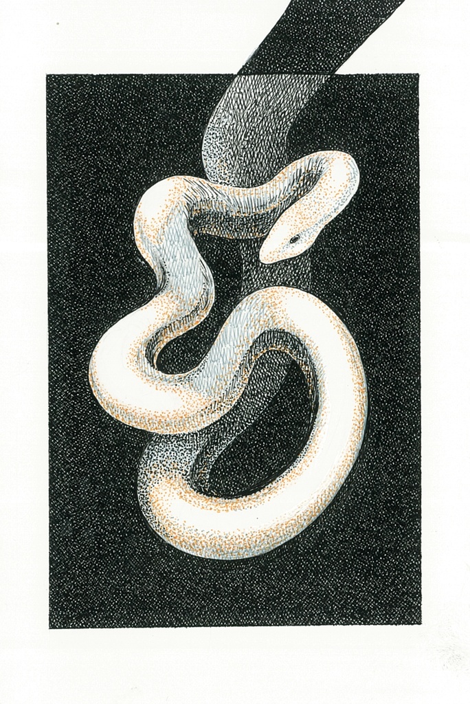 ペン画「巳」