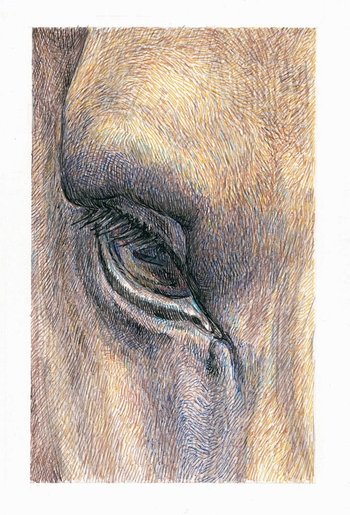 「午」ポストカード原画額装有り