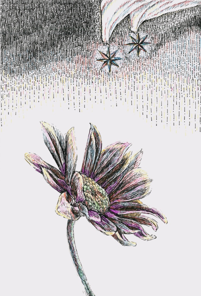 「回」ポストカード原画額装有り