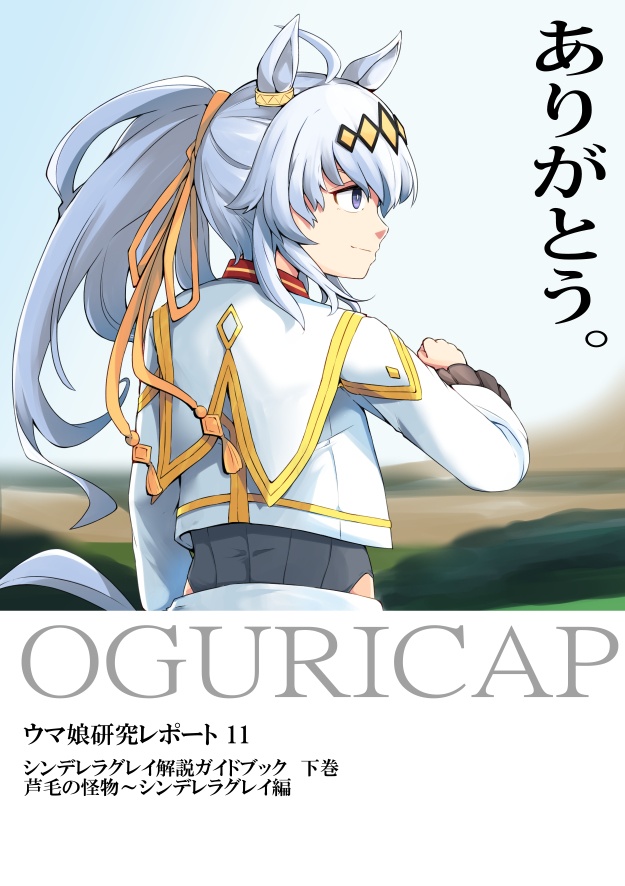 ウマ娘研究レポート11　シンデレラグレイ解説ガイドブック　下巻