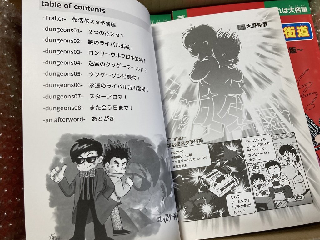 花のスター街道~クソゲーワールド・完全版~