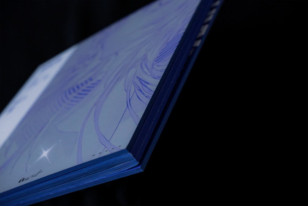 ROLUA EXHIBITION RECORD