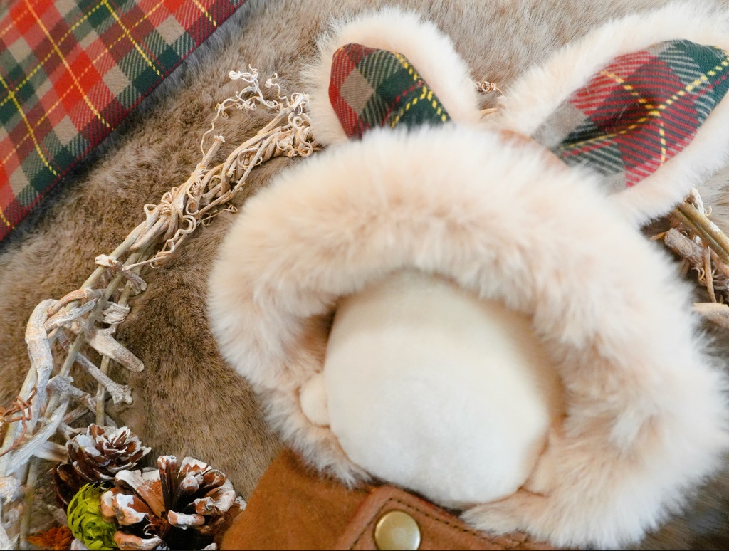 うさ耳ケープペアセット Christmas