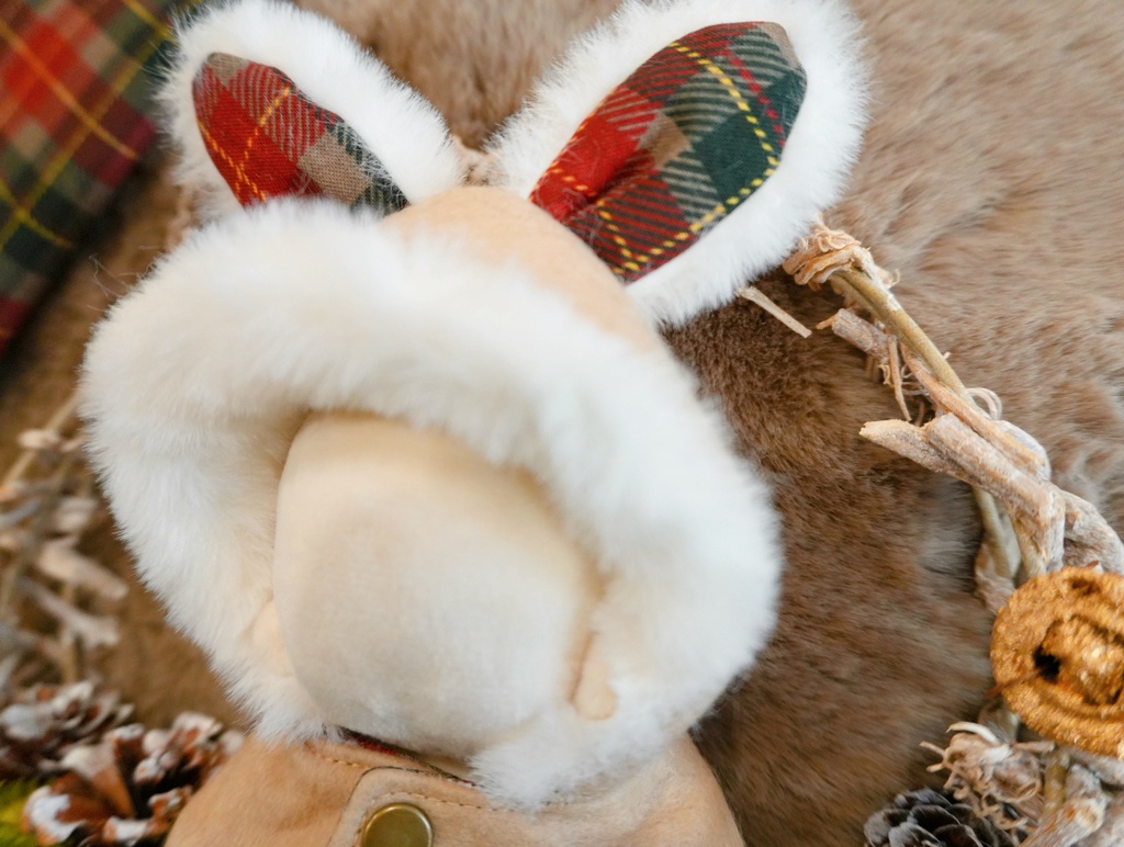 うさ耳ケープペアセット Christmas