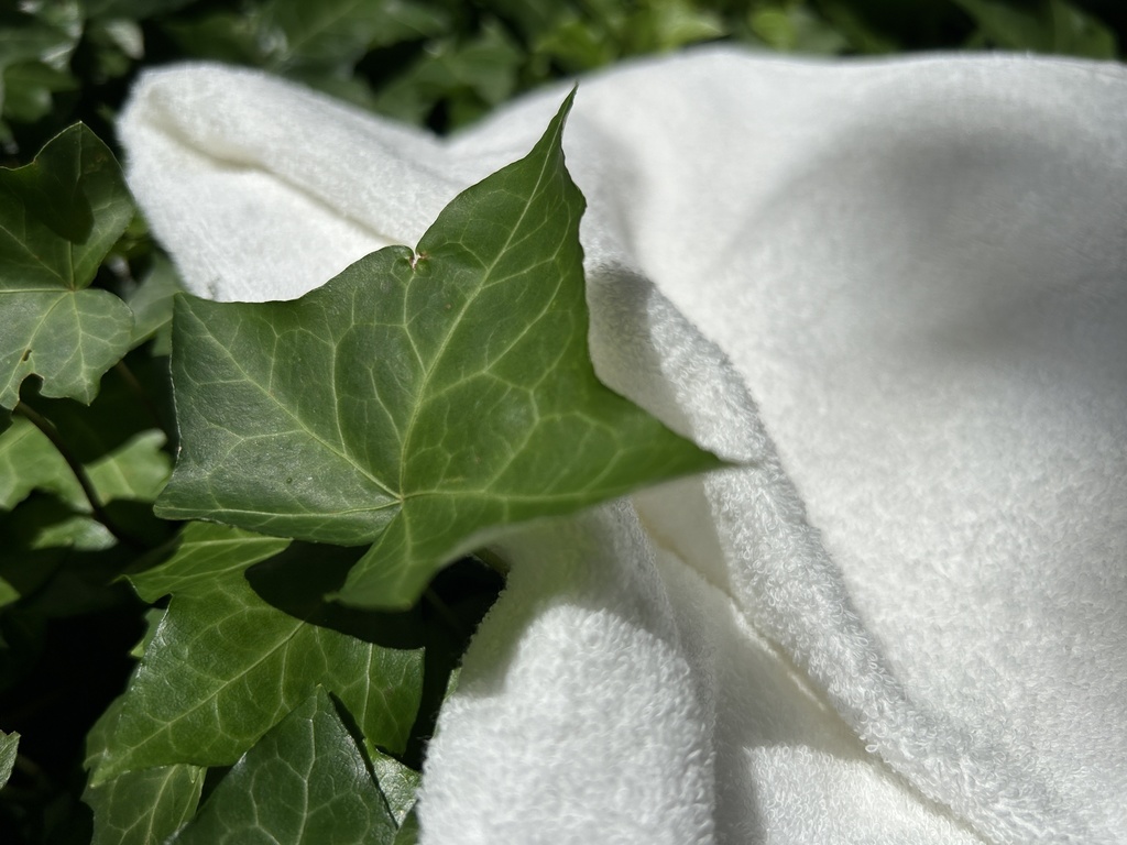 ふわふわタオル