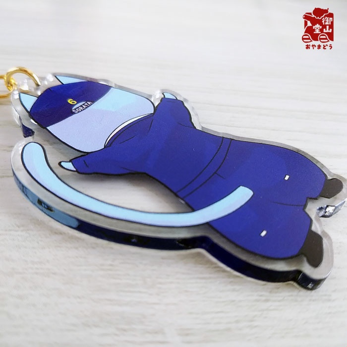 ドルフィンライダーそらた 抱っこして!アクリルキーホルダー<両面>