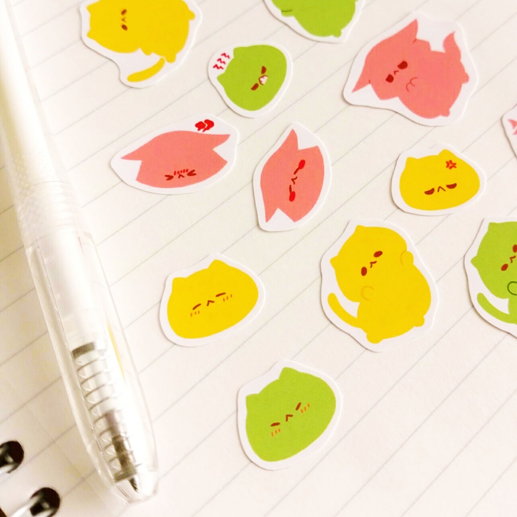 わさからもみじ ばらえてぃしーる!