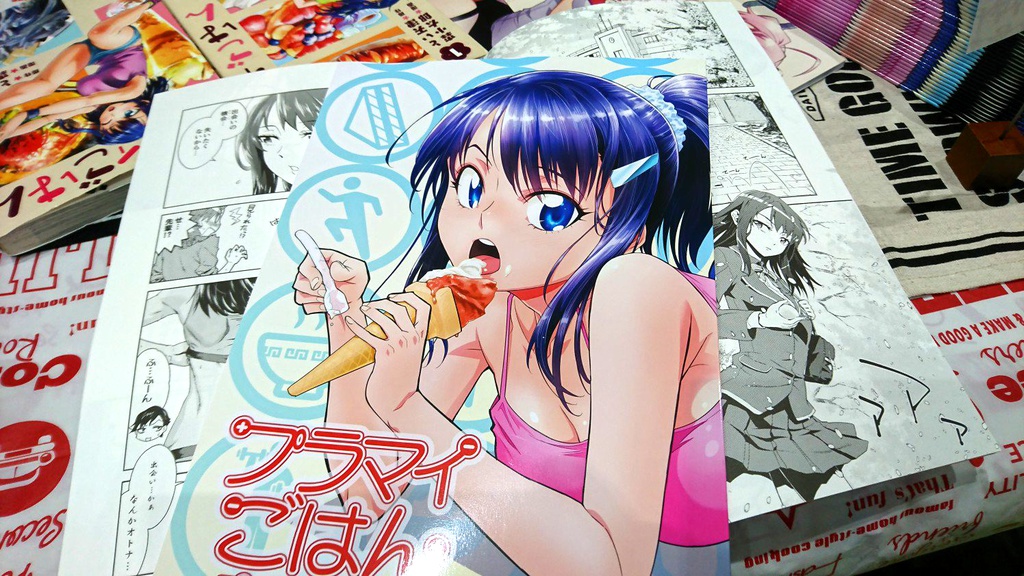 プラマイごはん 同人版