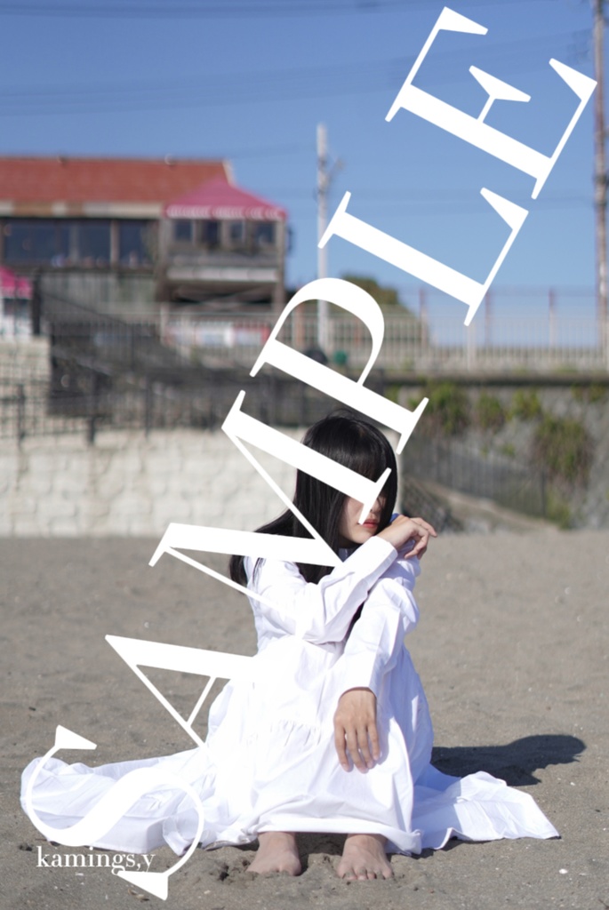 11月ブロマイド【B】