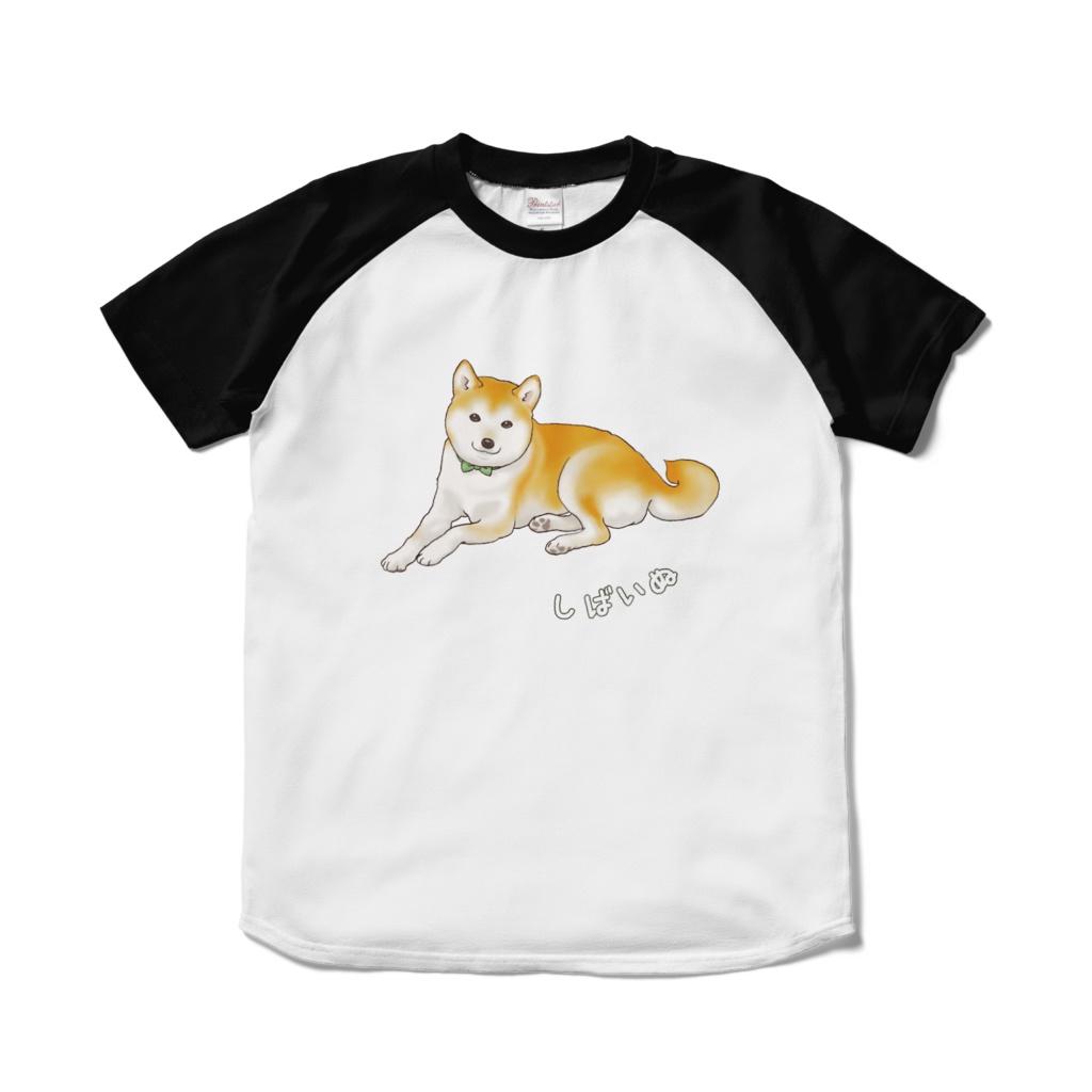 のどかな柴犬 ラグランTシャツ / Shiba Inu Raglan T-Shirt