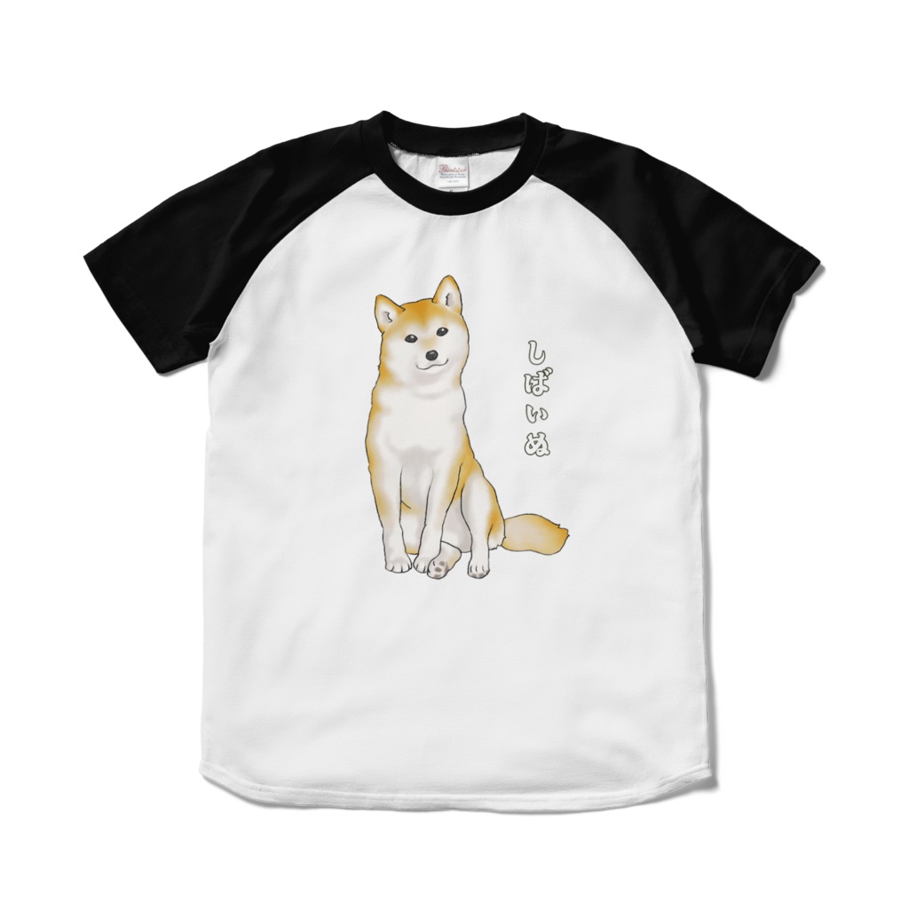 首をかしげて座る柴犬 ラグランTシャツ / Shiba Inu Raglan T-Shirt
