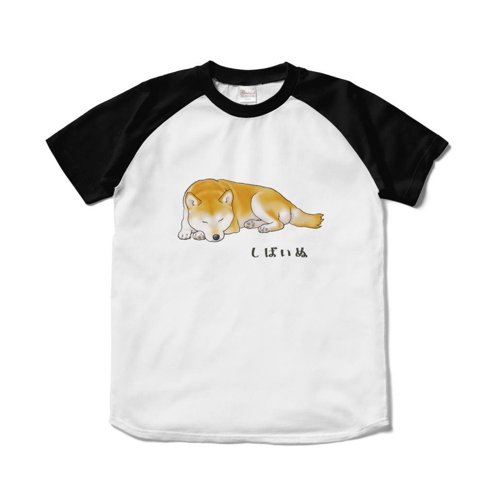 うとうとしている柴犬 ラグランTシャツ / Shiba Inu Raglan T-Shirt