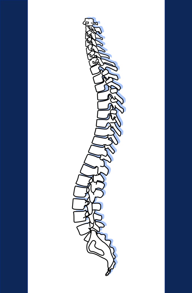 背骨のシンプルタペストリー