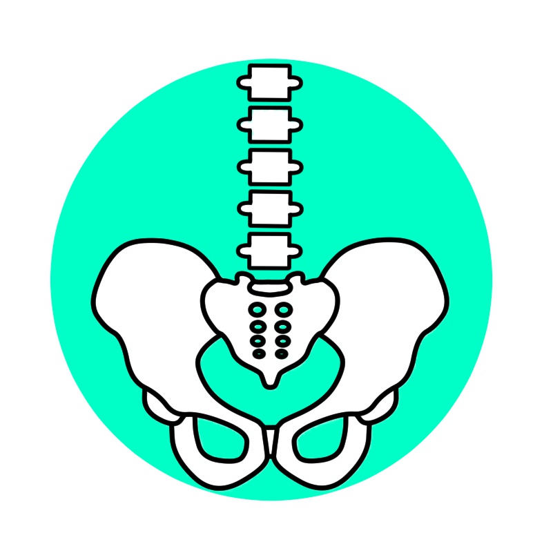 ワンポイント骨盤マークジップパーカー