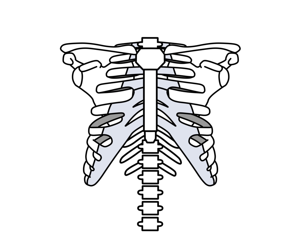 肋骨フルグラフィックTシャツ