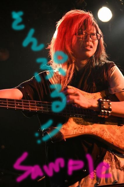 ライブ写真/bass