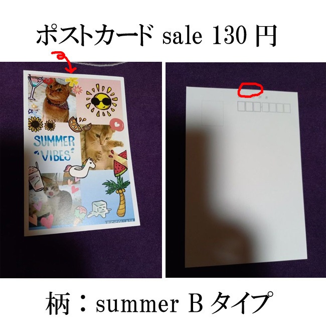 ポストカード バラ売りセール