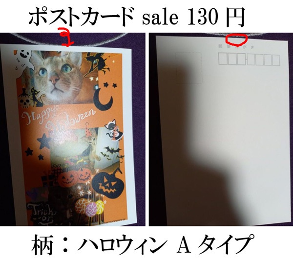 ポストカード バラ売りセール