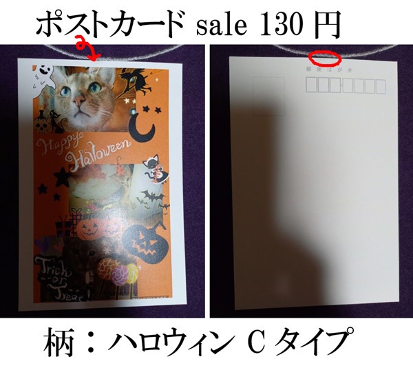 ポストカード バラ売りセール